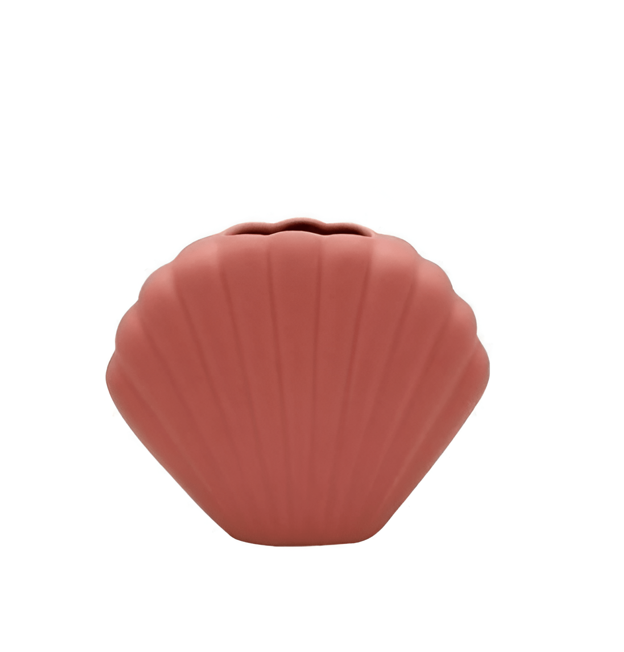 Colorful Seashell Vase