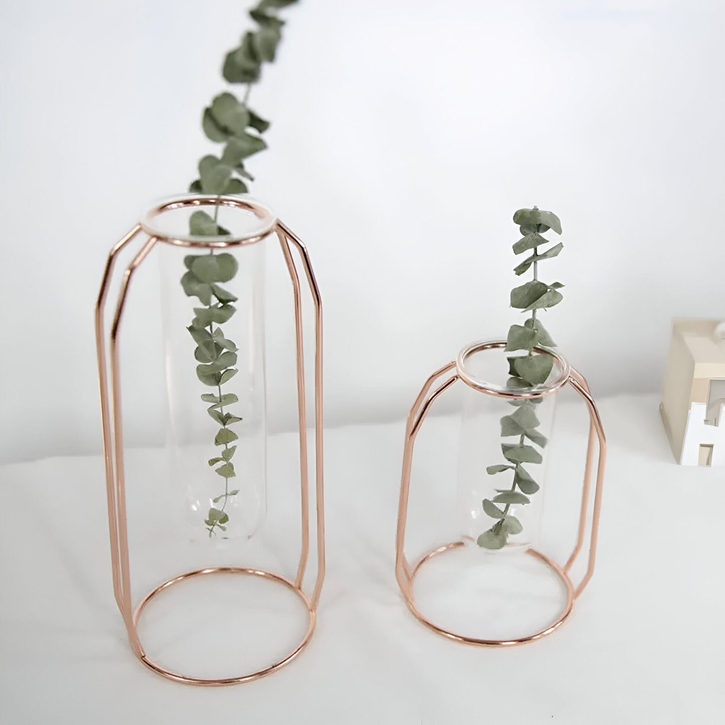  Geometric Floating Iron and Glass Propagation Vase