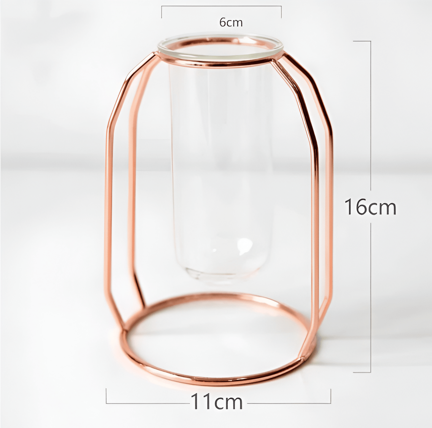  Geometric Floating Iron and Glass Propagation Vase