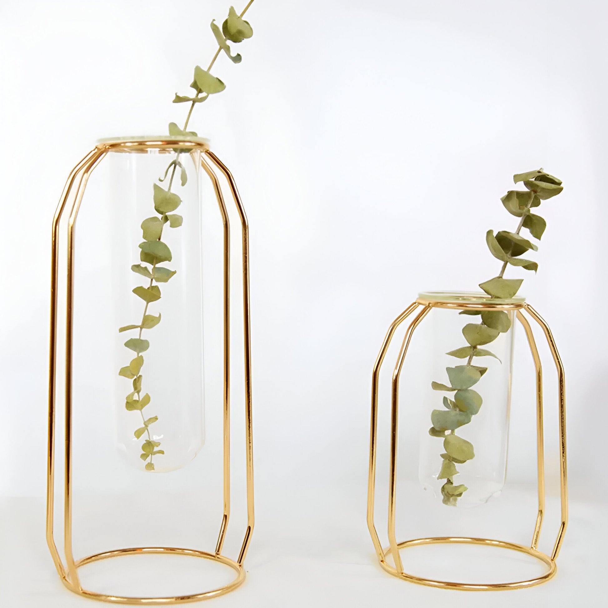  Geometric Floating Iron and Glass Propagation Vase