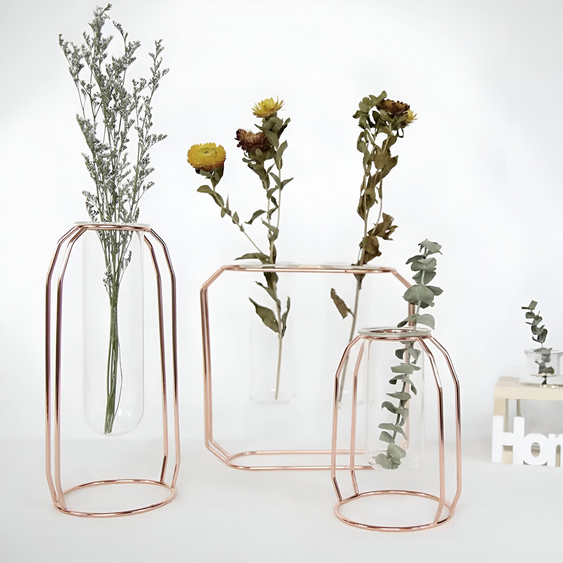  Geometric Floating Iron and Glass Propagation Vase