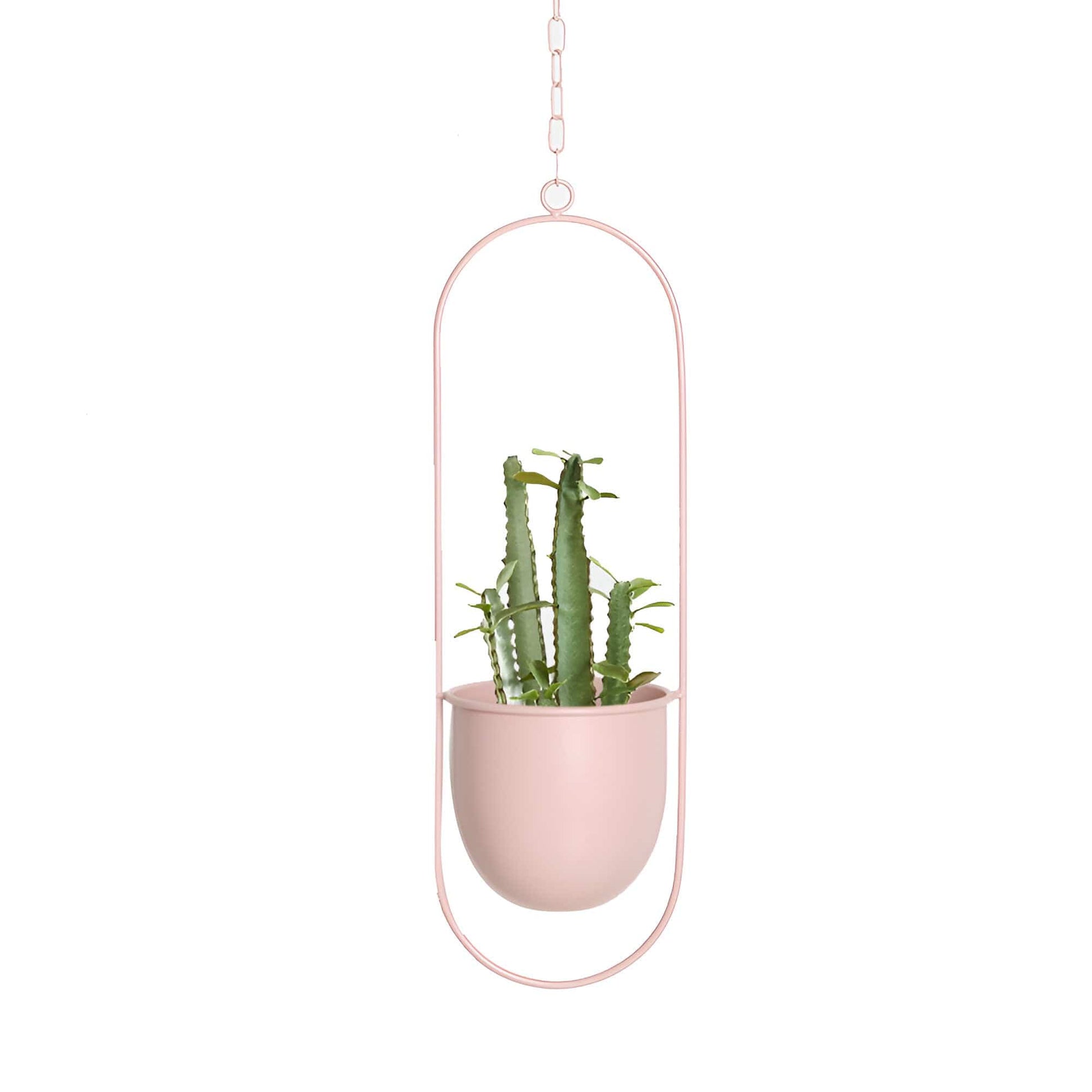 Halo Metal Hanging Planter