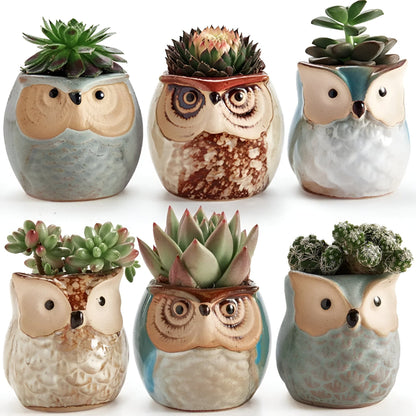 6-Piece Mini Owl Ceramic Succulent Planter Pots