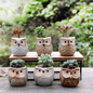 6-Piece Mini Owl Ceramic Succulent Planter Pots