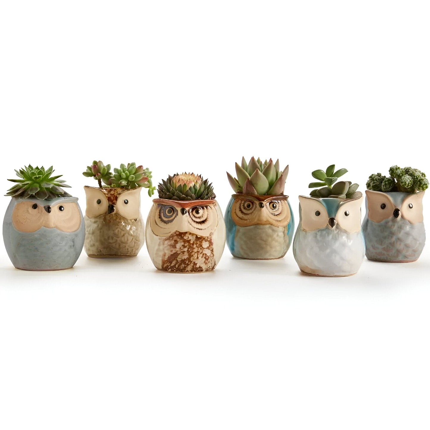 6-Piece Mini Owl Ceramic Succulent Planter Pots