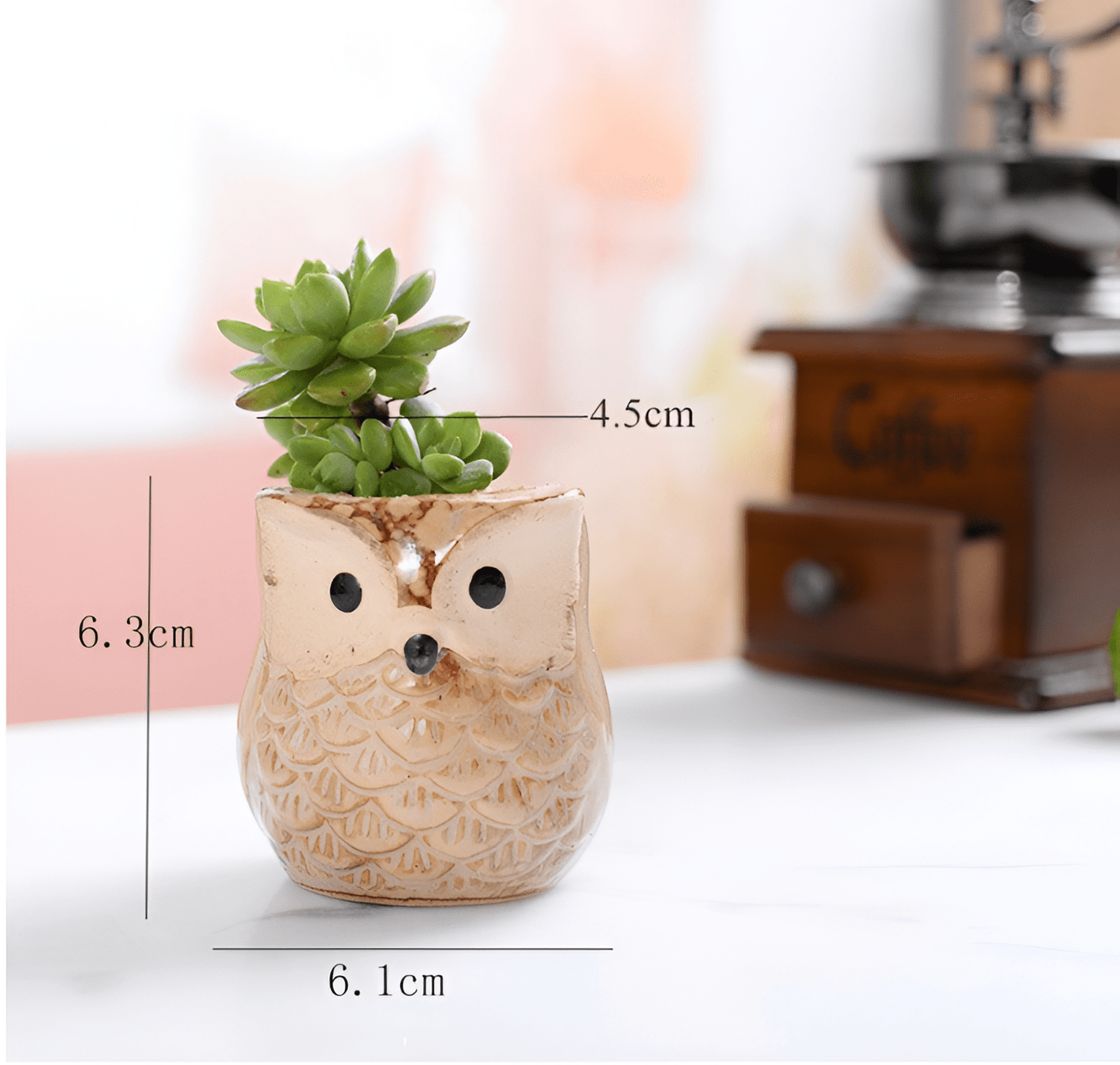 6-Piece Mini Owl Ceramic Succulent Planter Pots