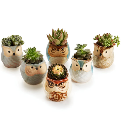 6-Piece Mini Owl Ceramic Succulent Planter Pots