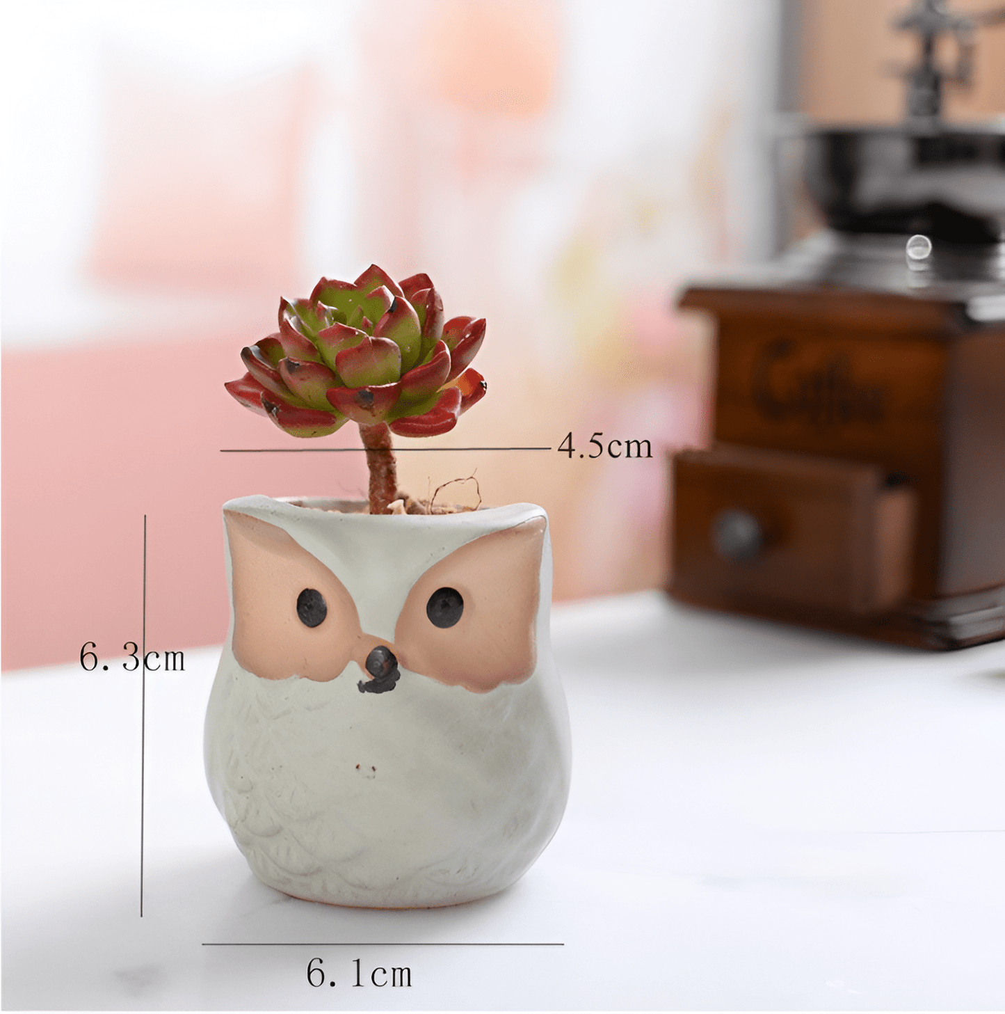 6-Piece Mini Owl Ceramic Succulent Planter Pots