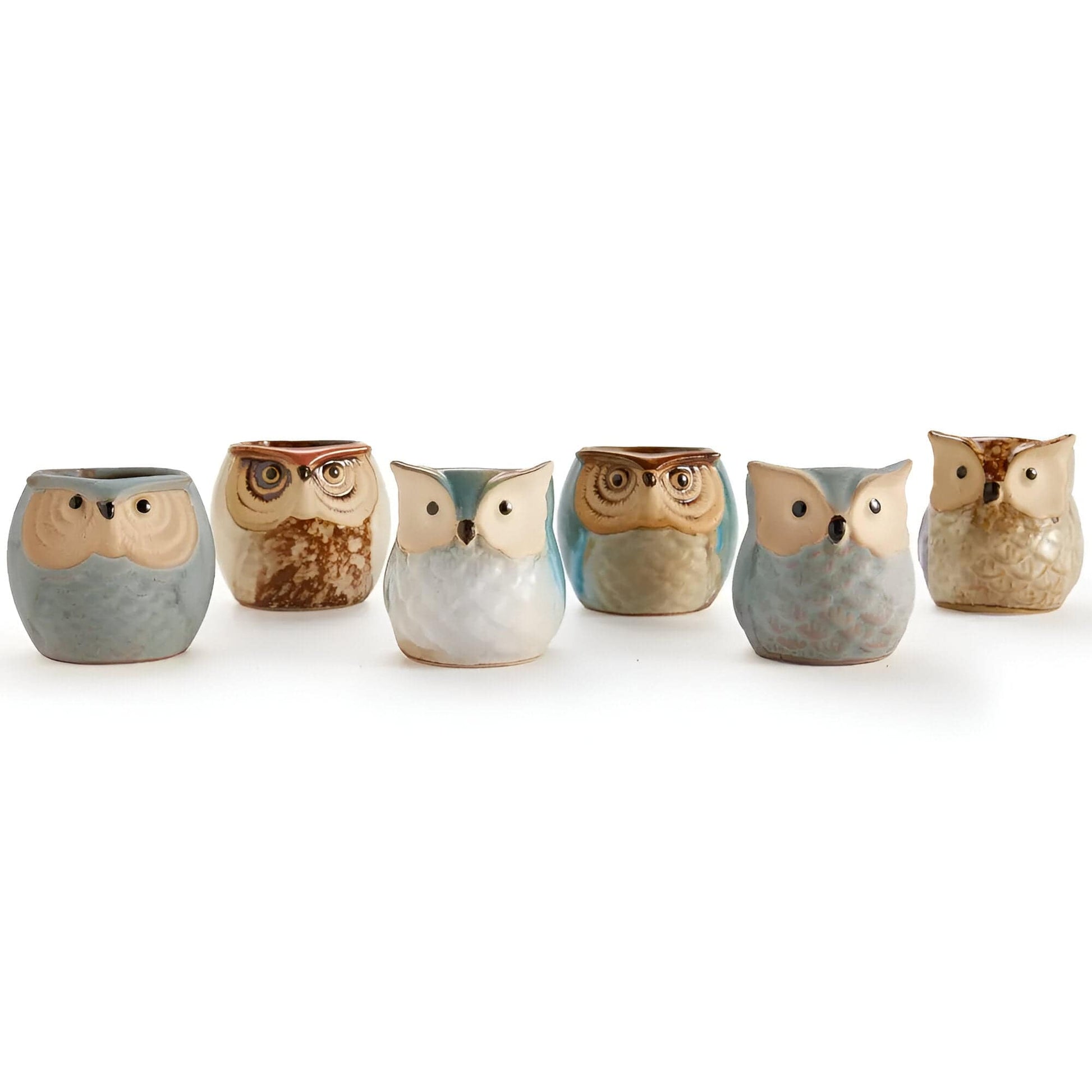 6-Piece Mini Owl Ceramic Succulent Planter Pots