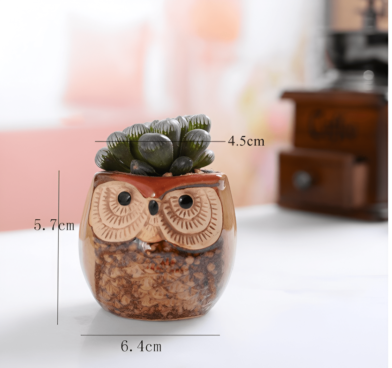 6-Piece Mini Owl Ceramic Succulent Planter Pots