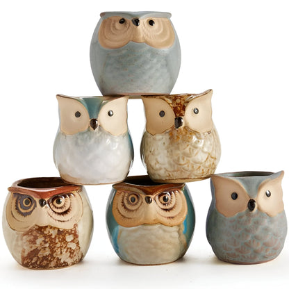 6-Piece Mini Owl Ceramic Succulent Planter Pots