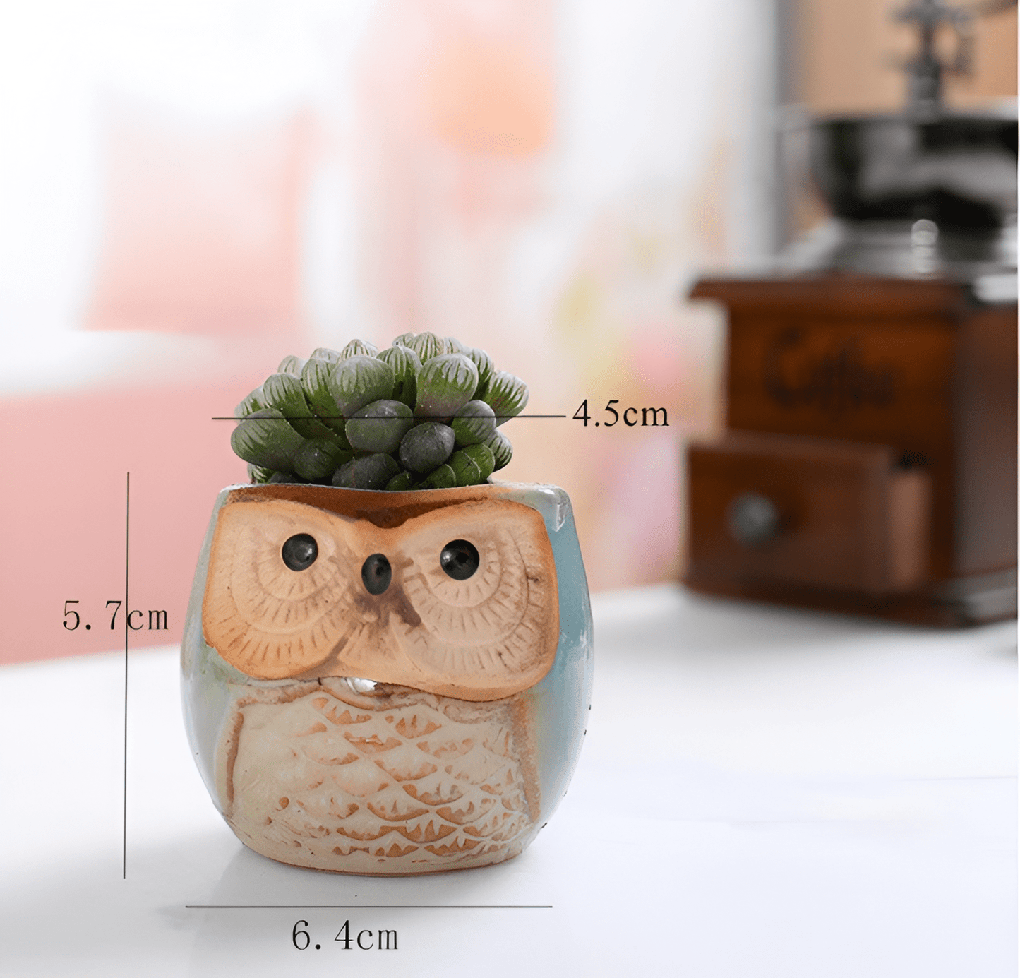 6-Piece Mini Owl Ceramic Succulent Planter Pots