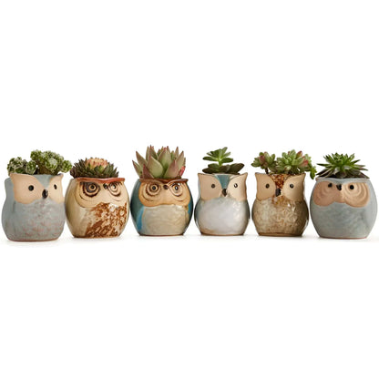 6-Piece Mini Owl Ceramic Succulent Planter Pots