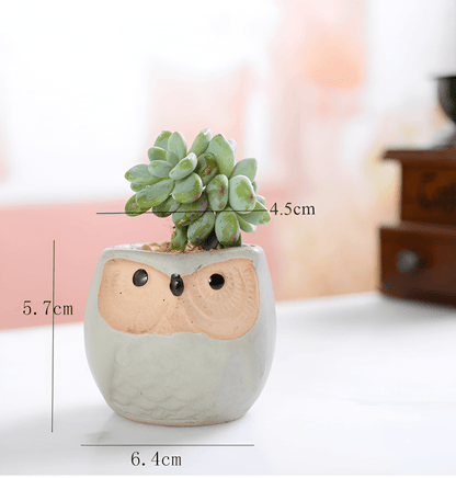 6-Piece Mini Owl Ceramic Succulent Planter Pots