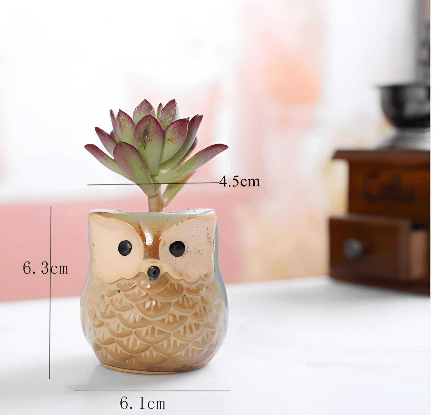 6-Piece Mini Owl Ceramic Succulent Planter Pots