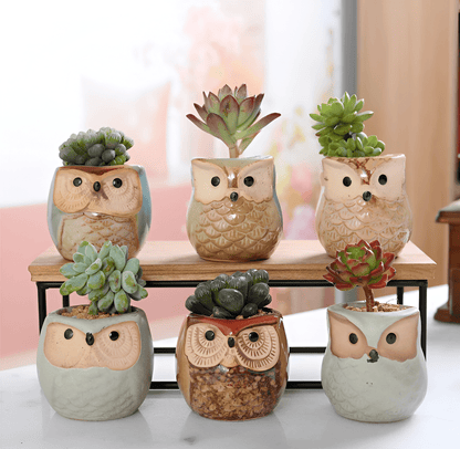 6-Piece Mini Owl Ceramic Succulent Planter Pots