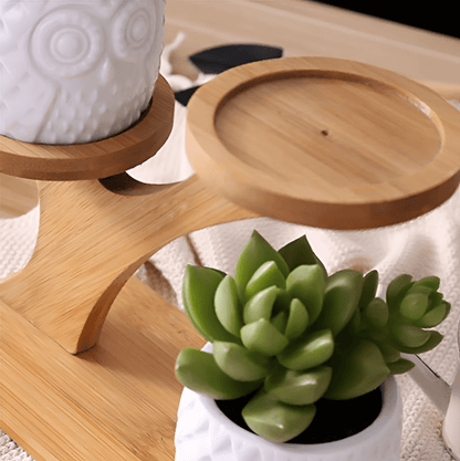 Tiered Ceramic Owl Succulent Planters With Bamboo Shelf