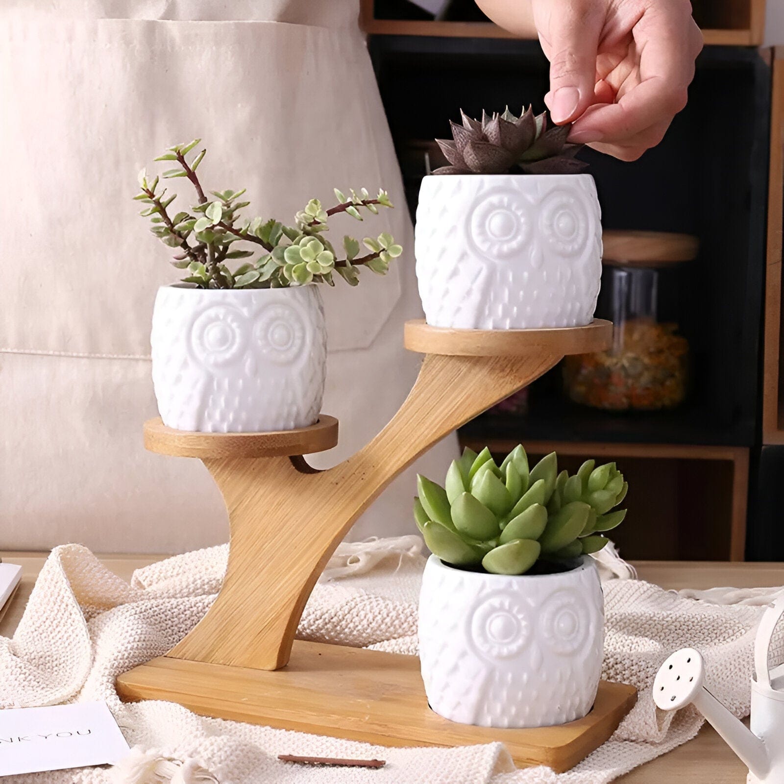 Tiered Ceramic Owl Succulent Planters With Bamboo Shelf