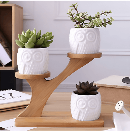 Tiered Ceramic Owl Succulent Planters With Bamboo Shelf