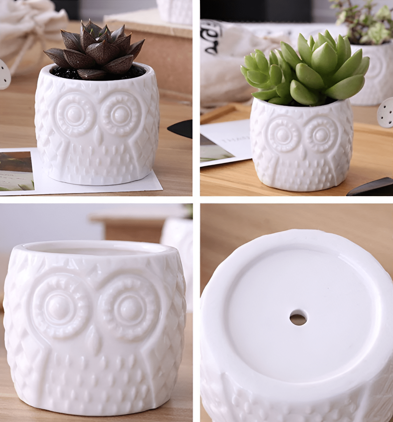 Tiered Ceramic Owl Succulent Planters With Bamboo Shelf