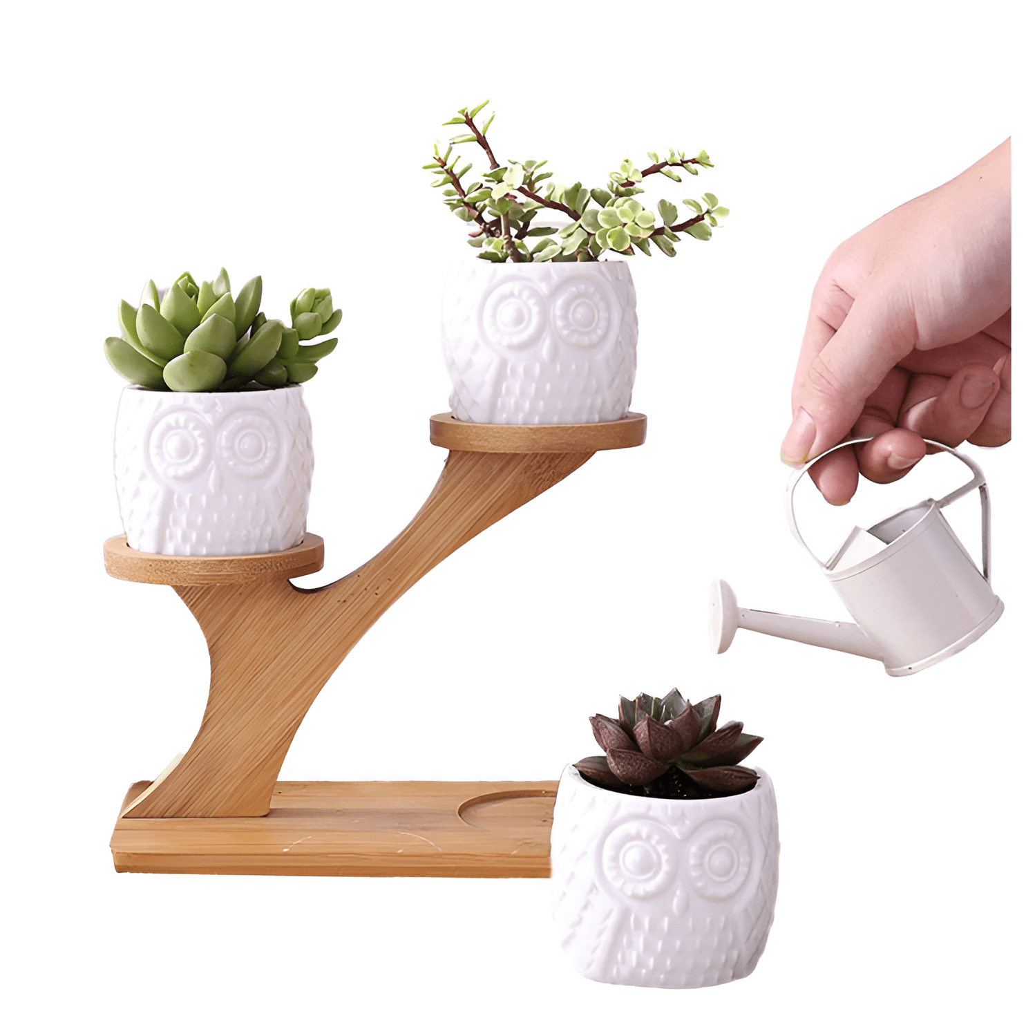 Tiered Ceramic Owl Succulent Planters With Bamboo Shelf