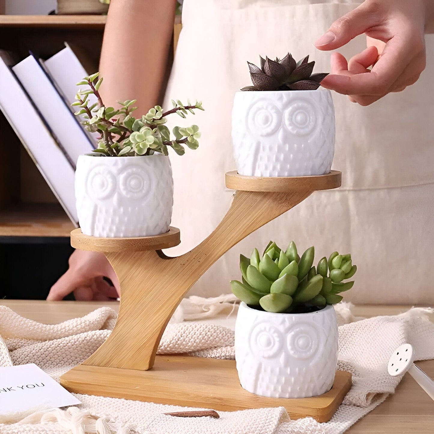 Tiered Ceramic Owl Succulent Planters With Bamboo Shelf