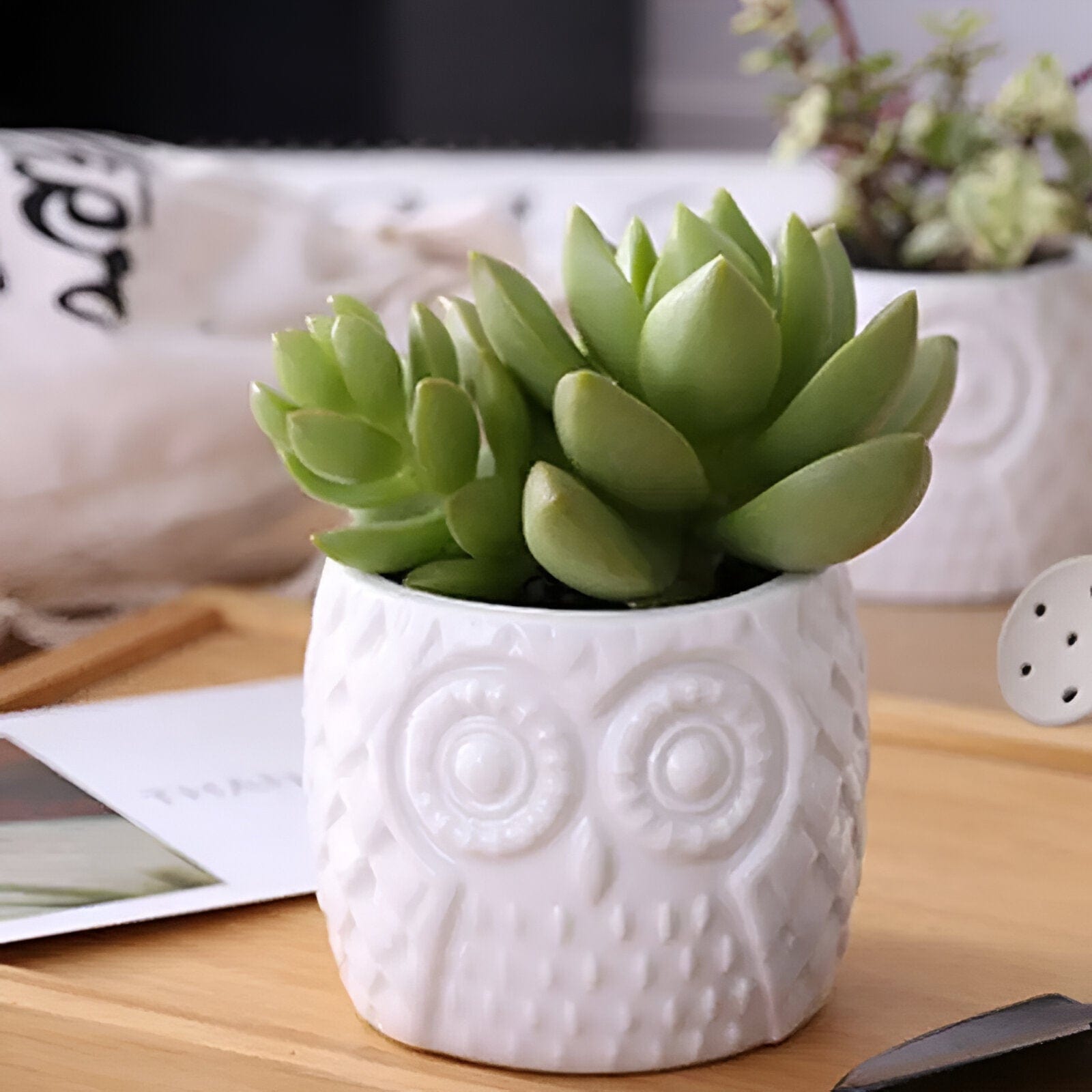 Tiered Ceramic Owl Succulent Planters With Bamboo Shelf