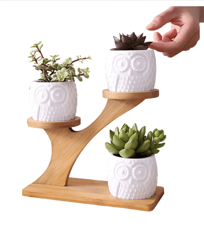 Tiered Ceramic Owl Succulent Planters With Bamboo Shelf