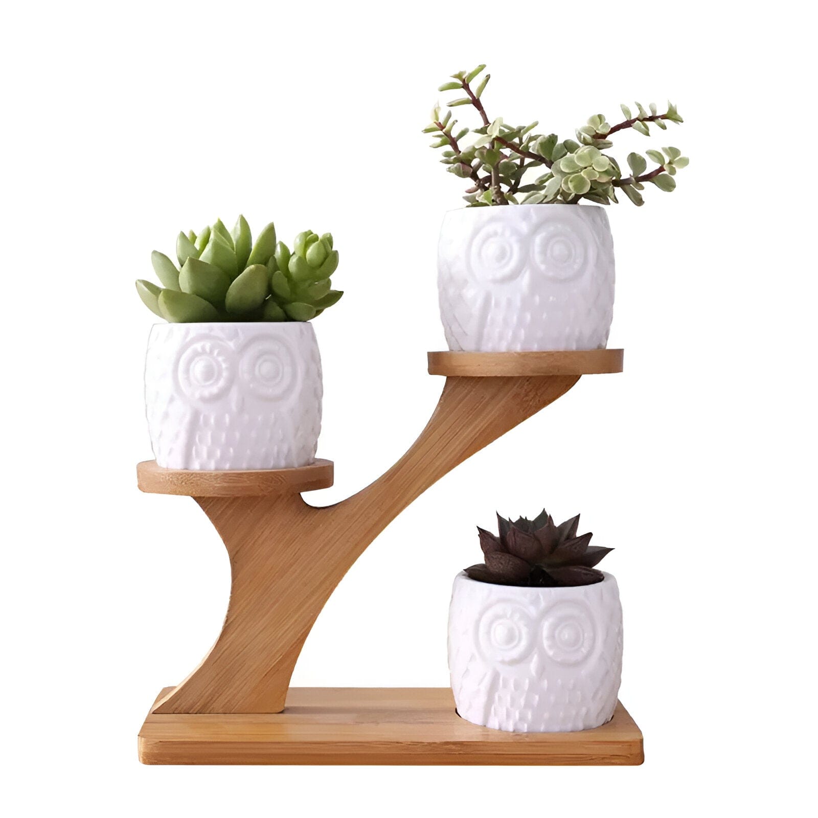 Tiered Ceramic Owl Succulent Planters With Bamboo Shelf