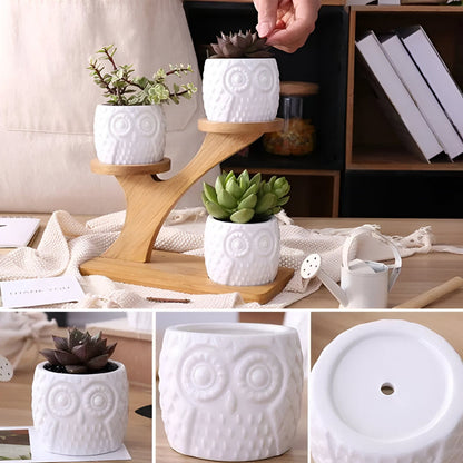 Tiered Ceramic Owl Succulent Planters With Bamboo Shelf