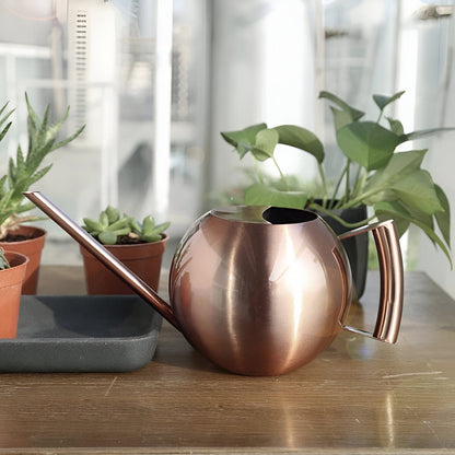 Spherical Goosenecks Stainless Steel Watering Can