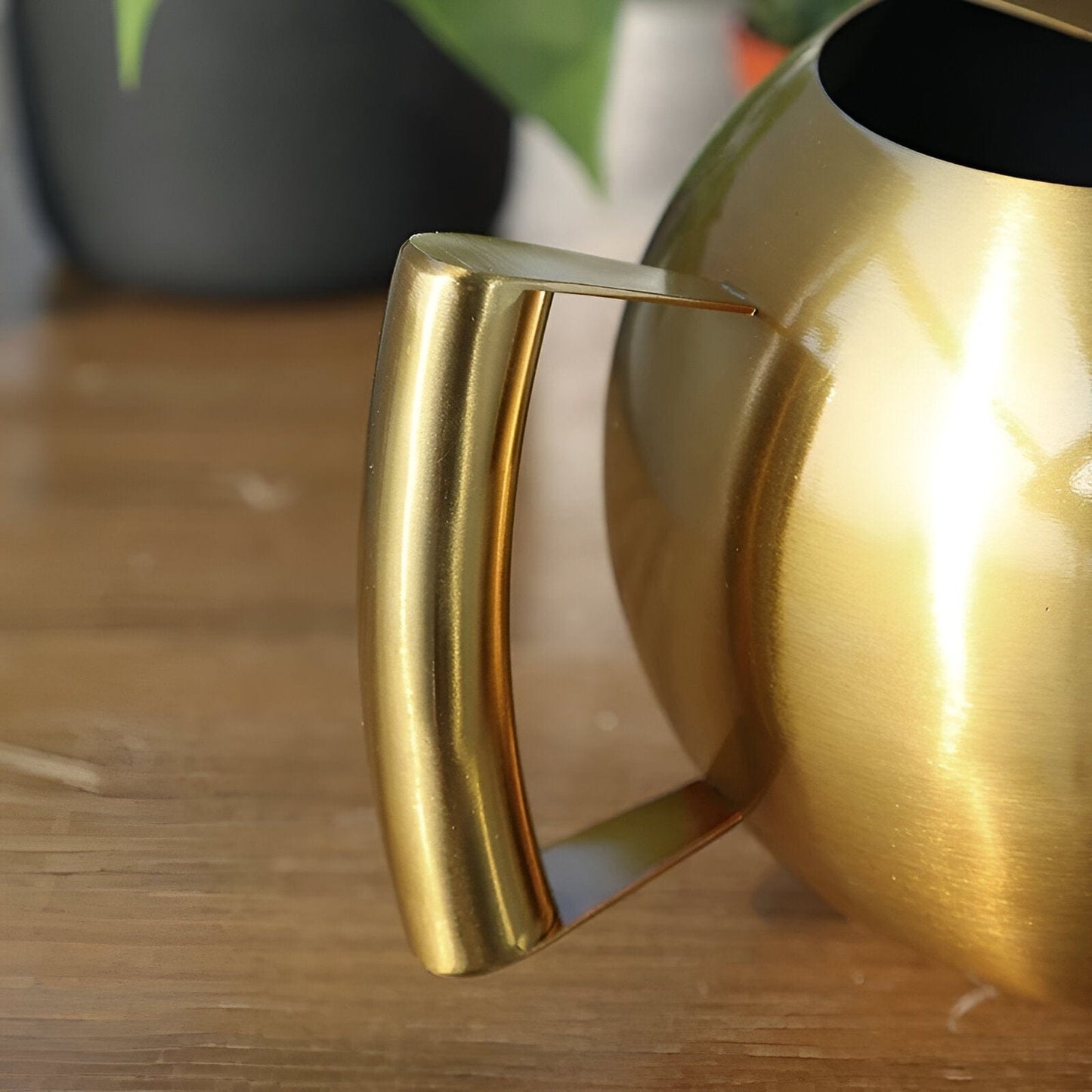 Spherical Goosenecks Stainless Steel Watering Can