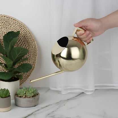 Spherical Goosenecks Stainless Steel Watering Can