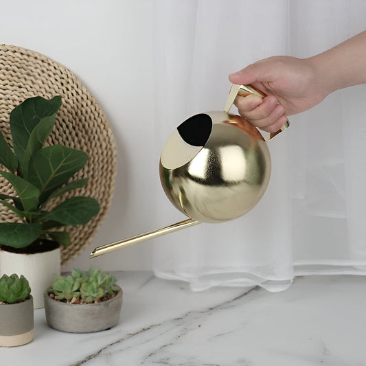 Spherical Goosenecks Stainless Steel Watering Can