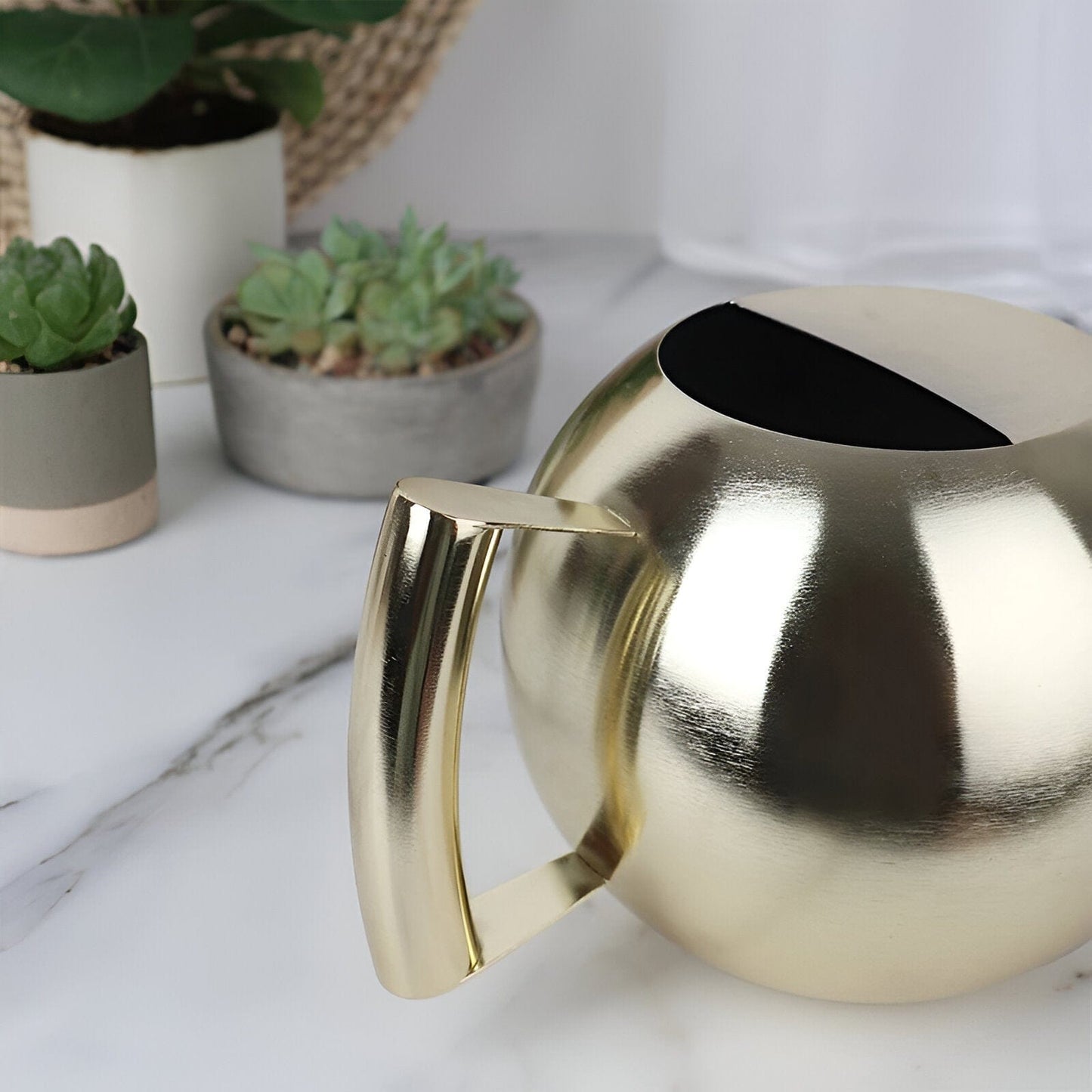 Spherical Goosenecks Stainless Steel Watering Can