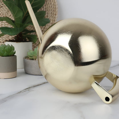 Spherical Goosenecks Stainless Steel Watering Can