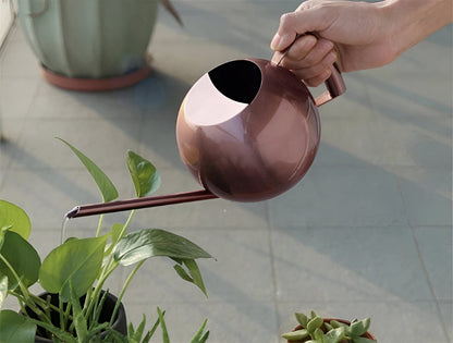 Spherical Goosenecks Stainless Steel Watering Can