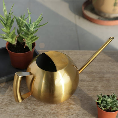 Spherical Goosenecks Stainless Steel Watering Can