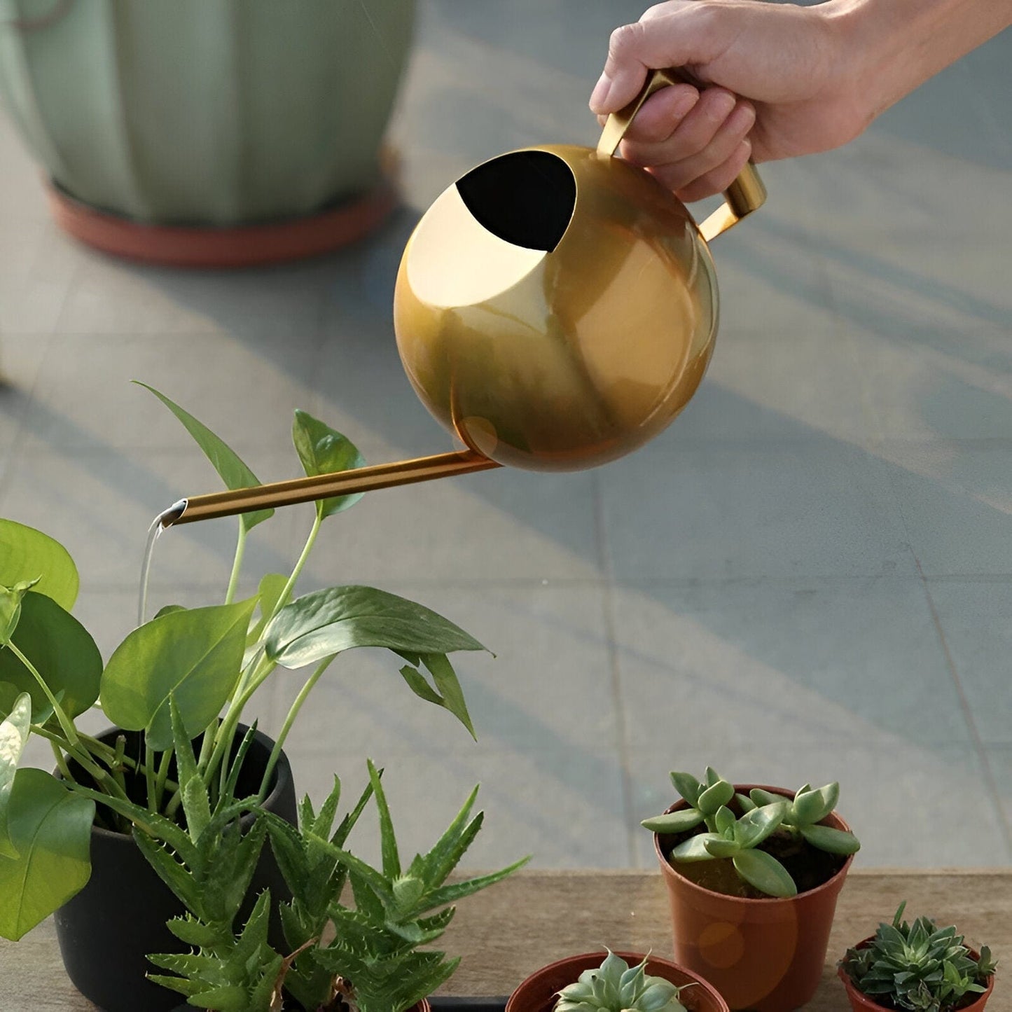 Spherical Goosenecks Stainless Steel Watering Can