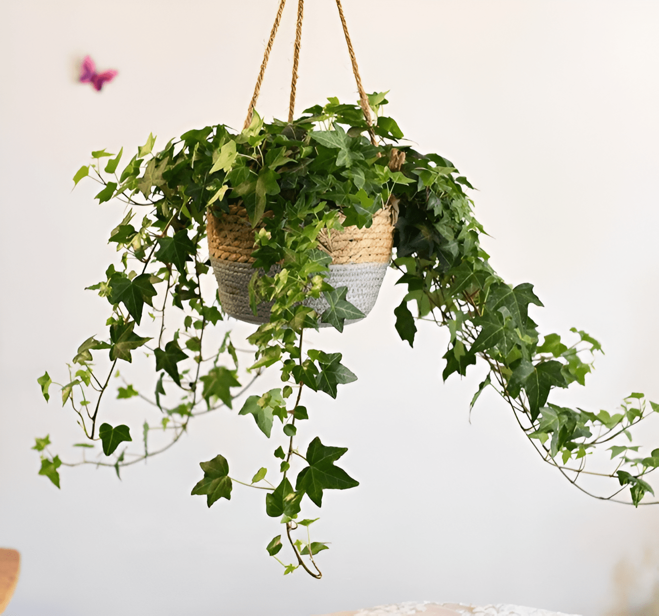 Woven Jute Rope Hanging Planter Basket