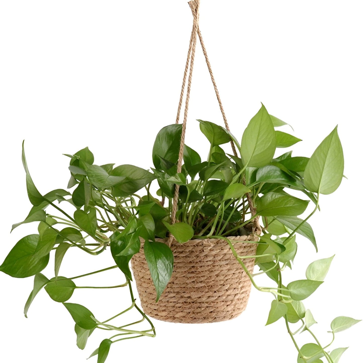 Woven Jute Rope Hanging Planter Basket