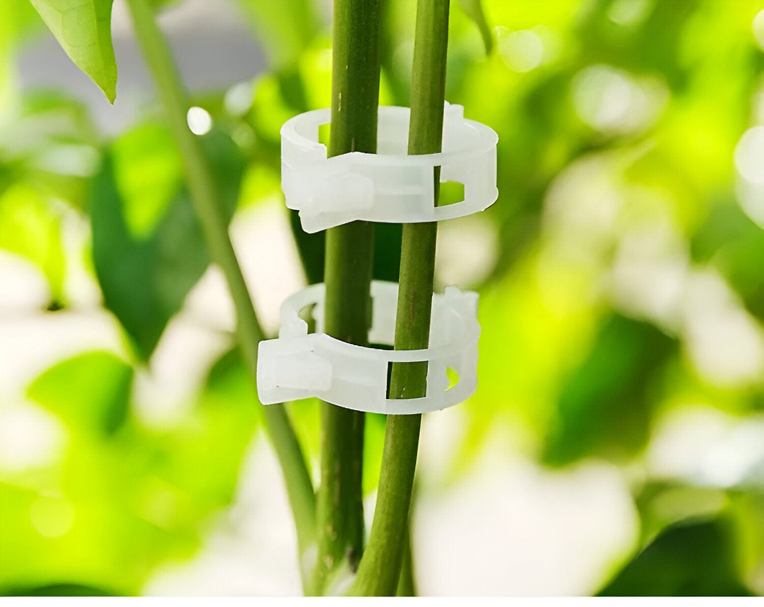 Plant Stalk Support Mounting Clip Set