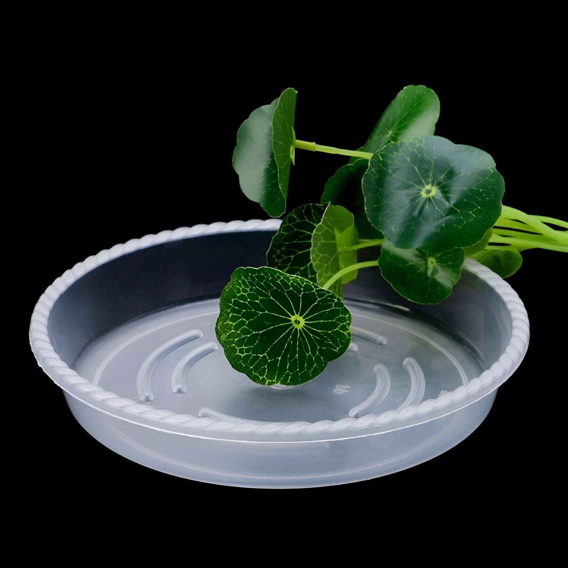 10-Piece Clear Plastic Planter Saucer Set