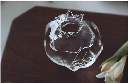 Pomegranate Glass Hydroponic Propagation Vase