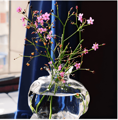 Pomegranate Glass Hydroponic Propagation Vase