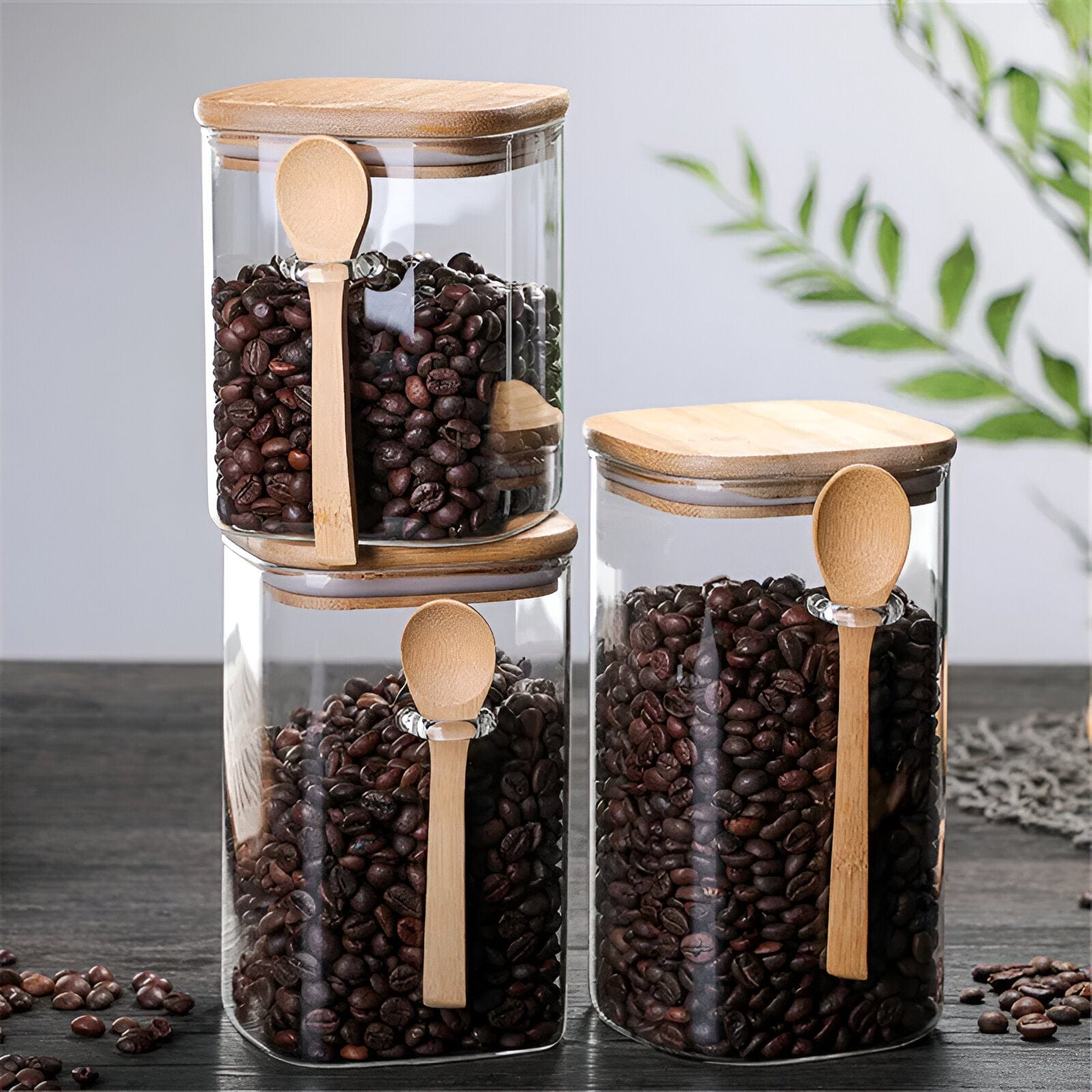  Bamboo & Glass Storage Containers