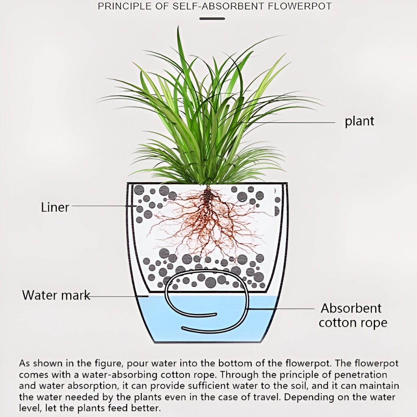 Self-Watering Flowerpot