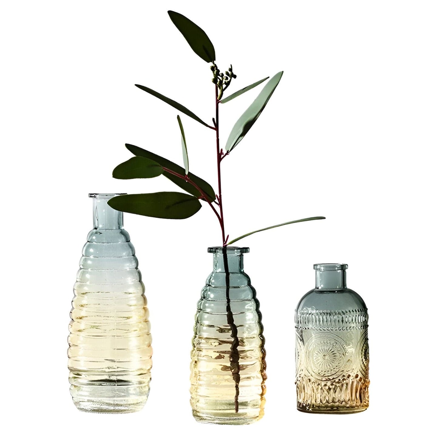  Ombré Glass Bottle Vases.