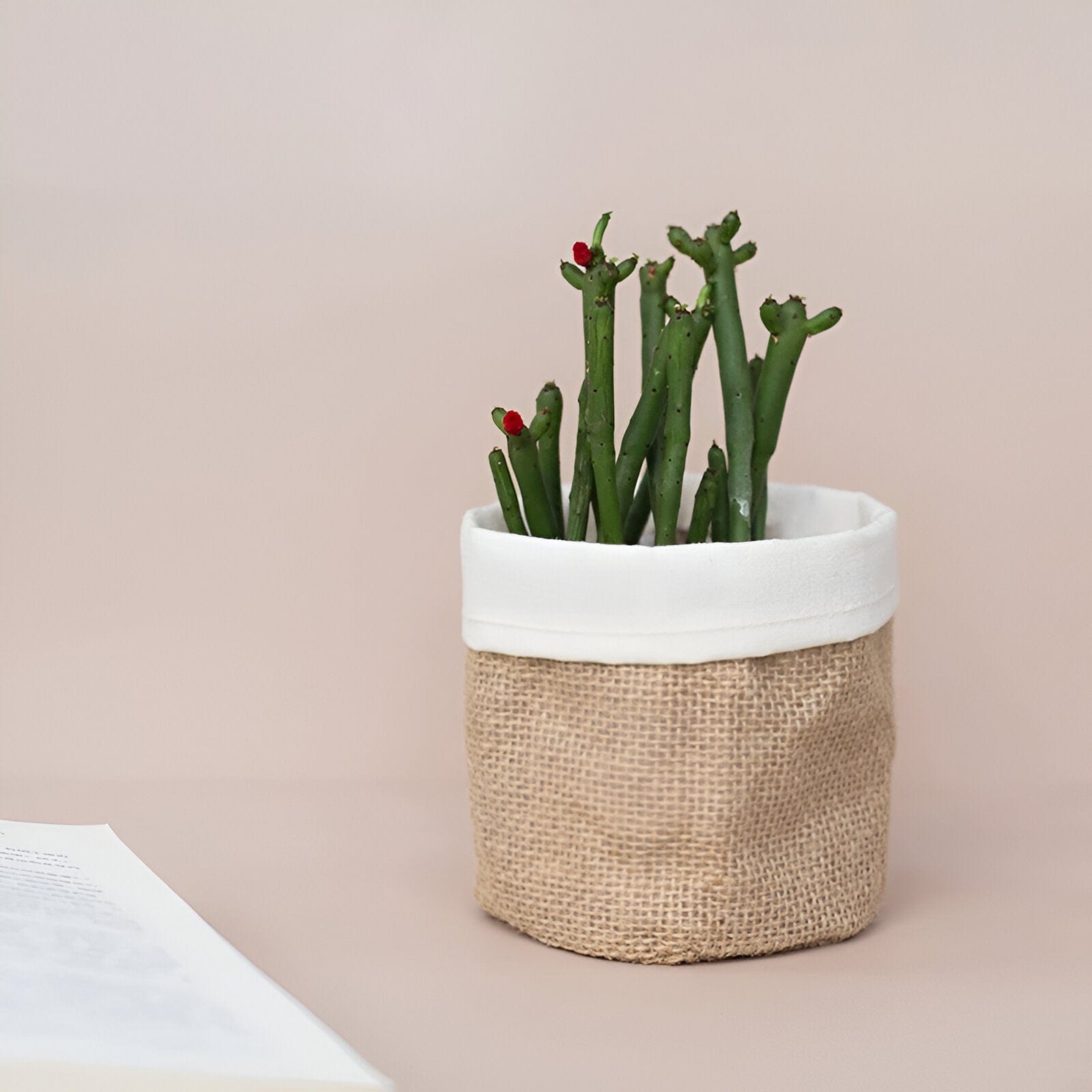 Rustic Cloth Planter Basket