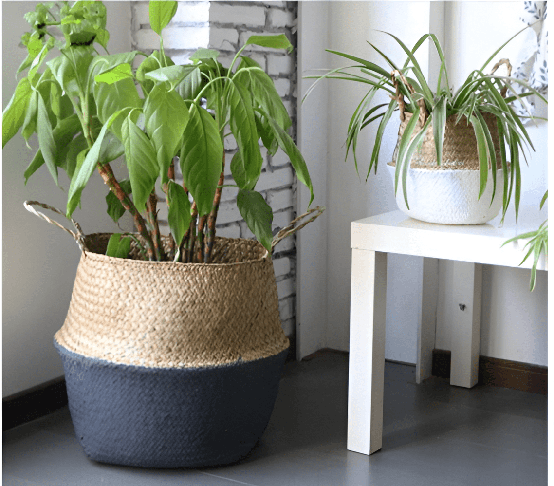 Handmade Rattan Planter or Storage Basket with Handles